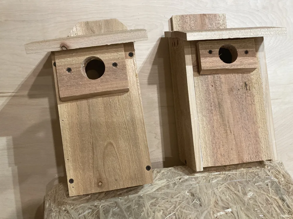 Deep Cavety Bird Houses